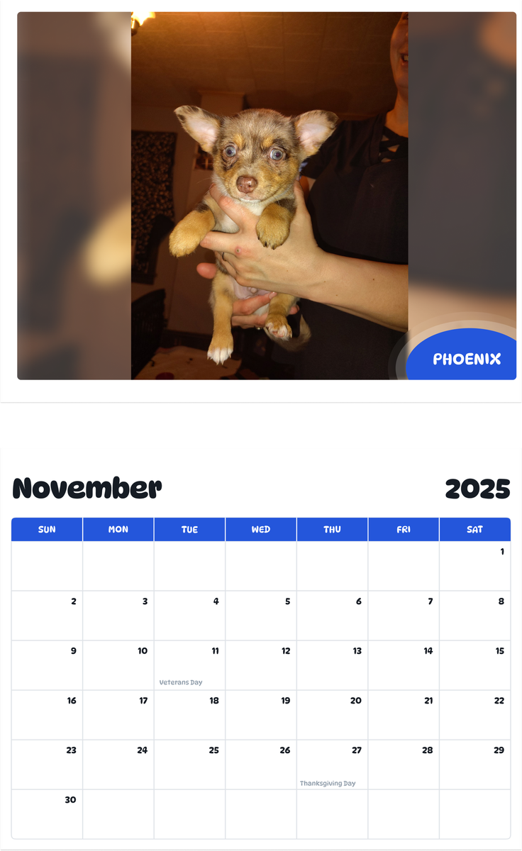 July 2025 - June 2026 Phoenix - Pawidols Pet Calendar
