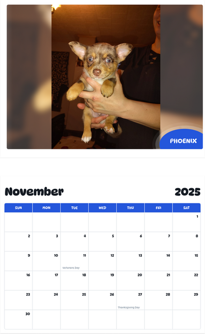 July 2025 - June 2026 Phoenix - Pawidols Pet Calendar