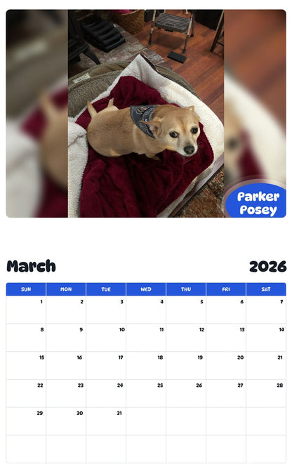 November 2025 - October 2026 Parker Posey - Pawidols Pet Calendar