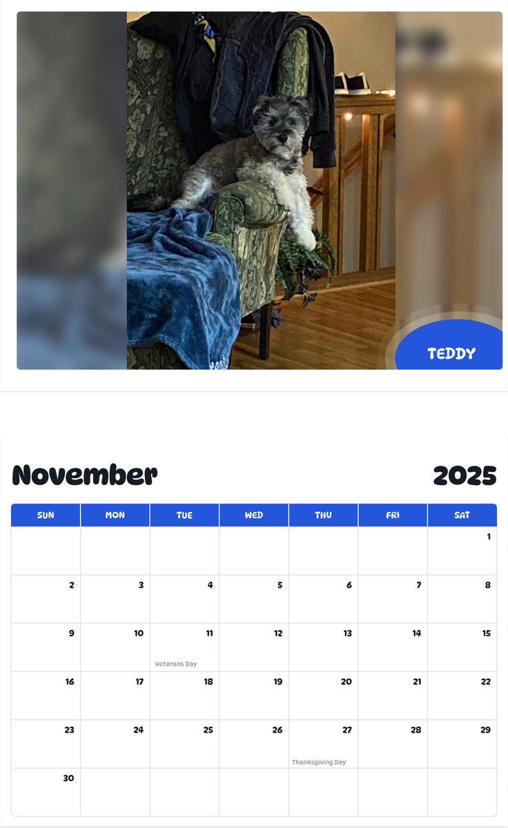 July 2025 - June 2026 Teddy - Pawidols Pet Calendar