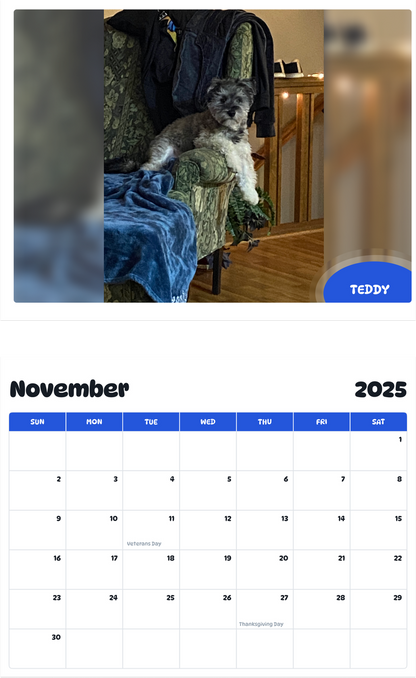 July 2025 - June 2026 Teddy - Pawidols Pet Calendar