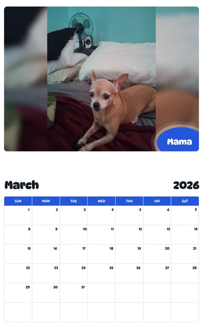 November 2025 - October 2026 Mama - Pawidols Pet Calendar