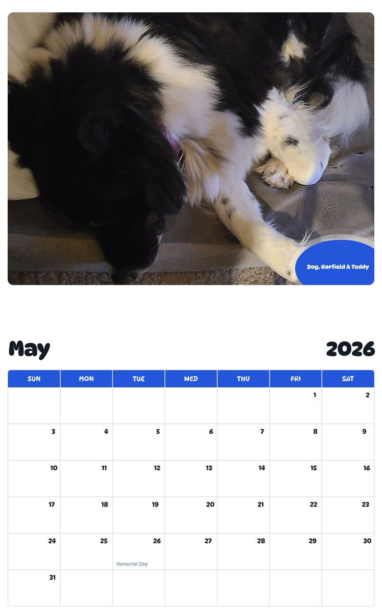2026 - 2027 Dog, Garfield & Teddy - Pawidols Pet Calendar