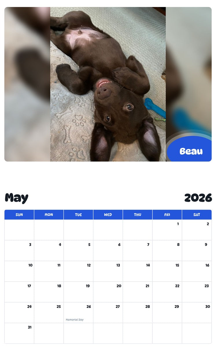 2026 - 2027 Beau - Pawidols Pet Calendar