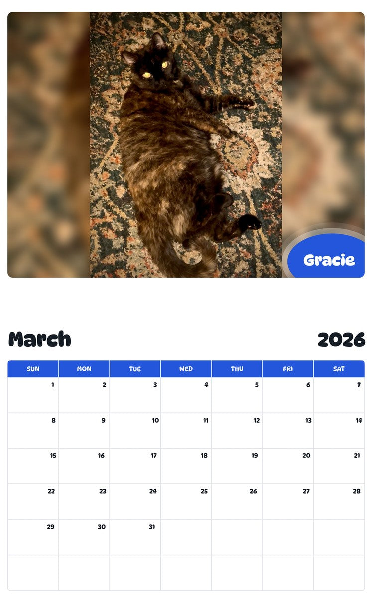 November 2025 - October 2026 Gracie - Pawidols Pet Calendar