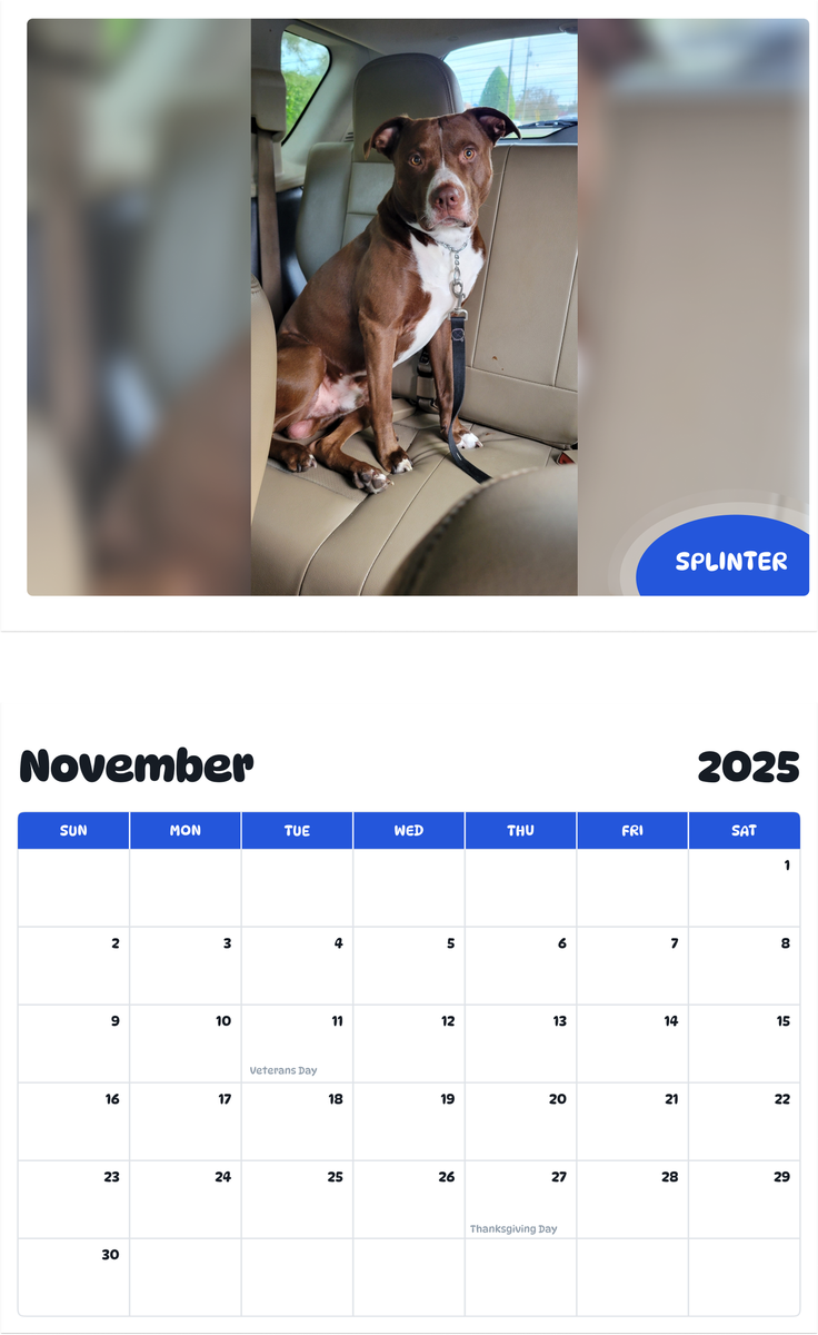 July 2025 - June 2026 Splinter - Pawidols Pet Calendar