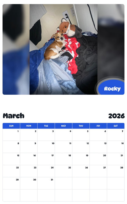 November 2025 - October 2026 Rocky - Pawidols Pet Calendar