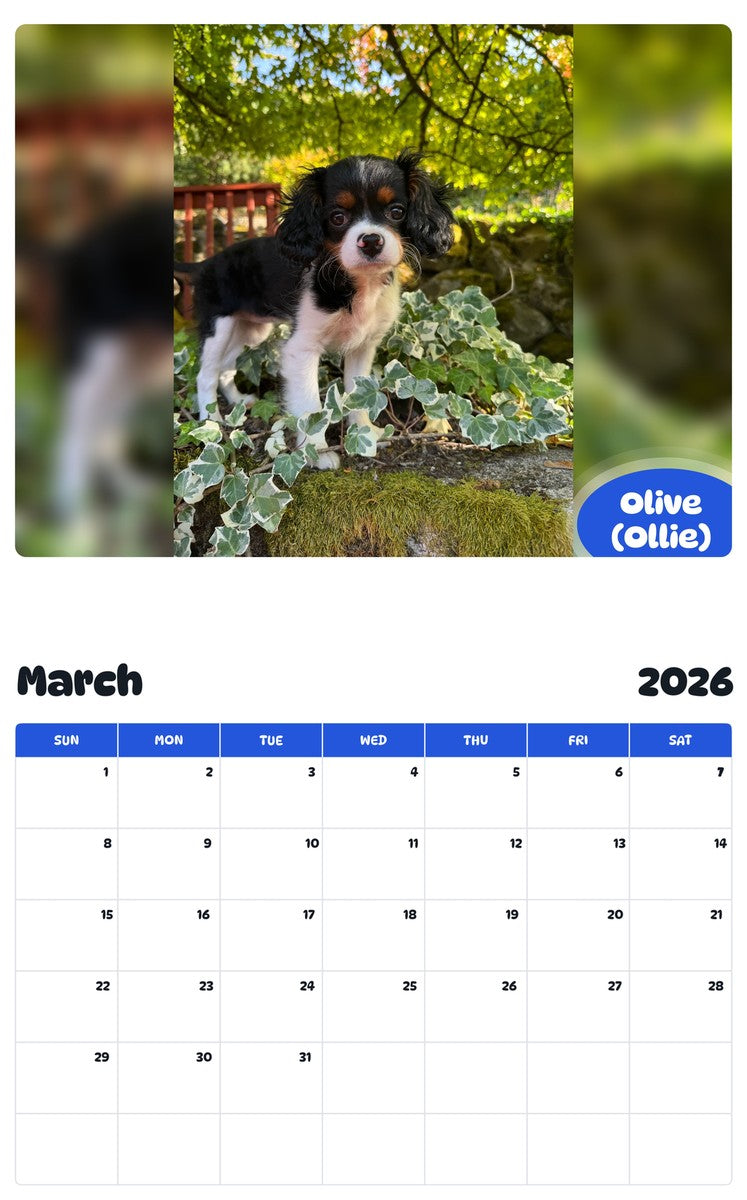 November 2025 - October 2026 Olive (Ollie) - Pawidols Pet Calendar