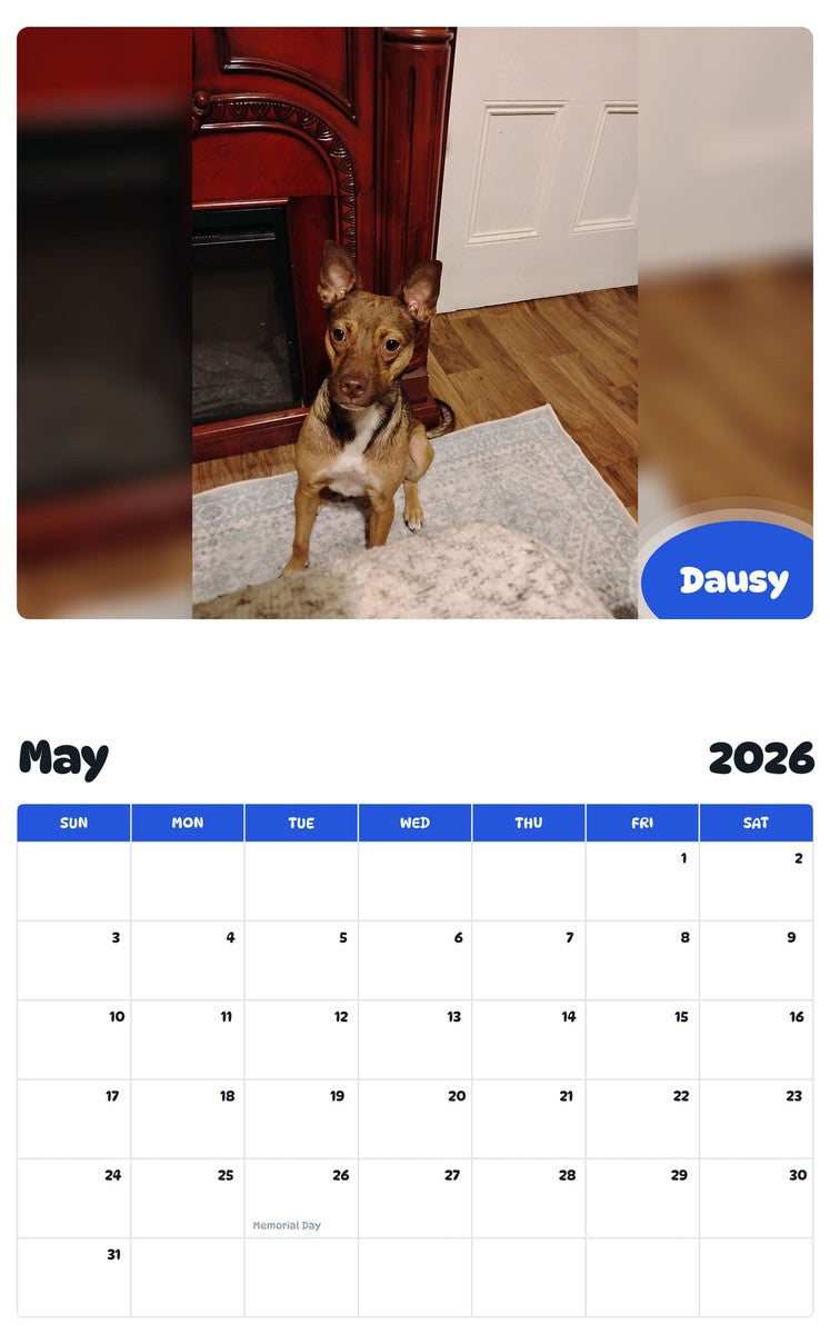 2026 - 2027 Dausy - Pawidols Pet Calendar