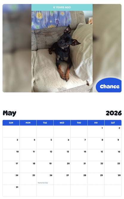 2026 - 2027 Chance - Pawidols Pet Calendar