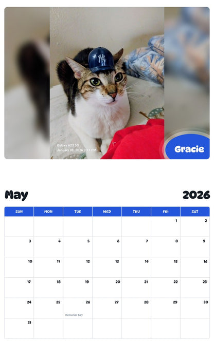 2026 - 2027 Gracie - Pawidols Pet Calendar