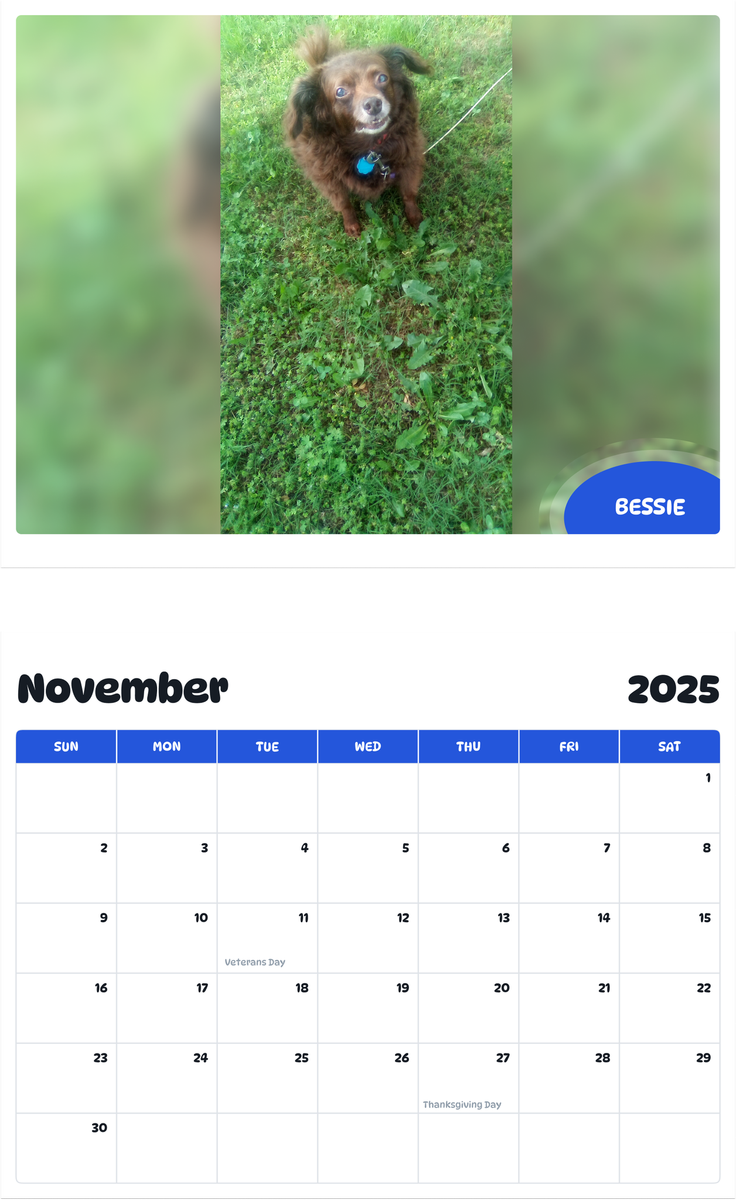 July 2025 - June 2026 Bessie - Pawidols Pet Calendar