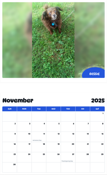 July 2025 - June 2026 Bessie - Pawidols Pet Calendar