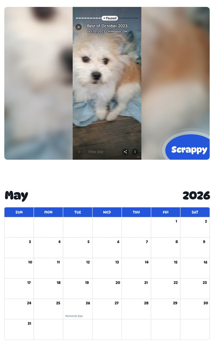2026 - 2027 Scrappy - Pawidols Pet Calendar