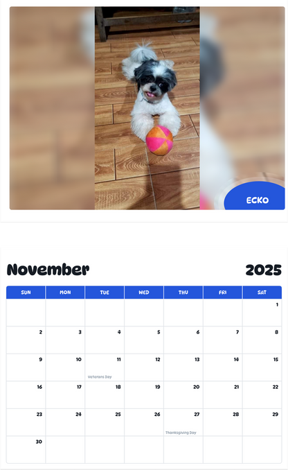 July 2025 - June 2026 Ecko - Pawidols Pet Calendar