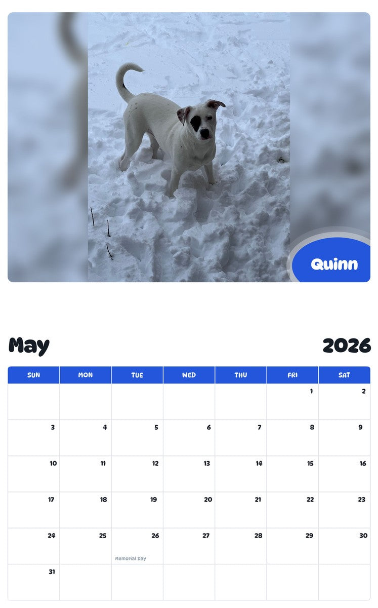 2026 - 2027 Quinn - Pawidols Pet Calendar