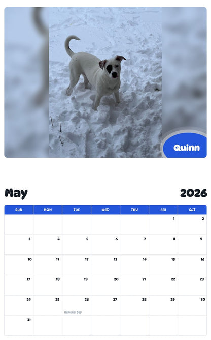 2026 - 2027 Quinn - Pawidols Pet Calendar