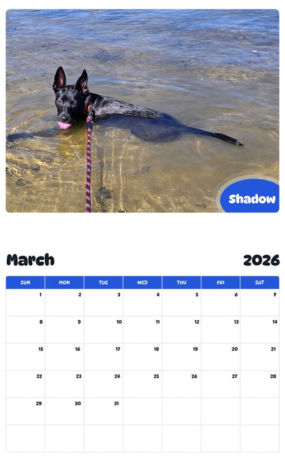 November 2025 - October 2026 Shadow - Pawidols Pet Calendar
