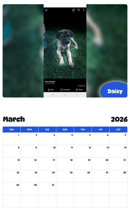 November 2025 - October 2026 Daisy - Pawidols Pet Calendar