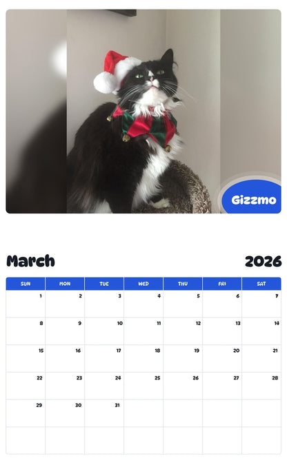 November 2025 - October 2026 Gizzmo - Pawidols Pet Calendar