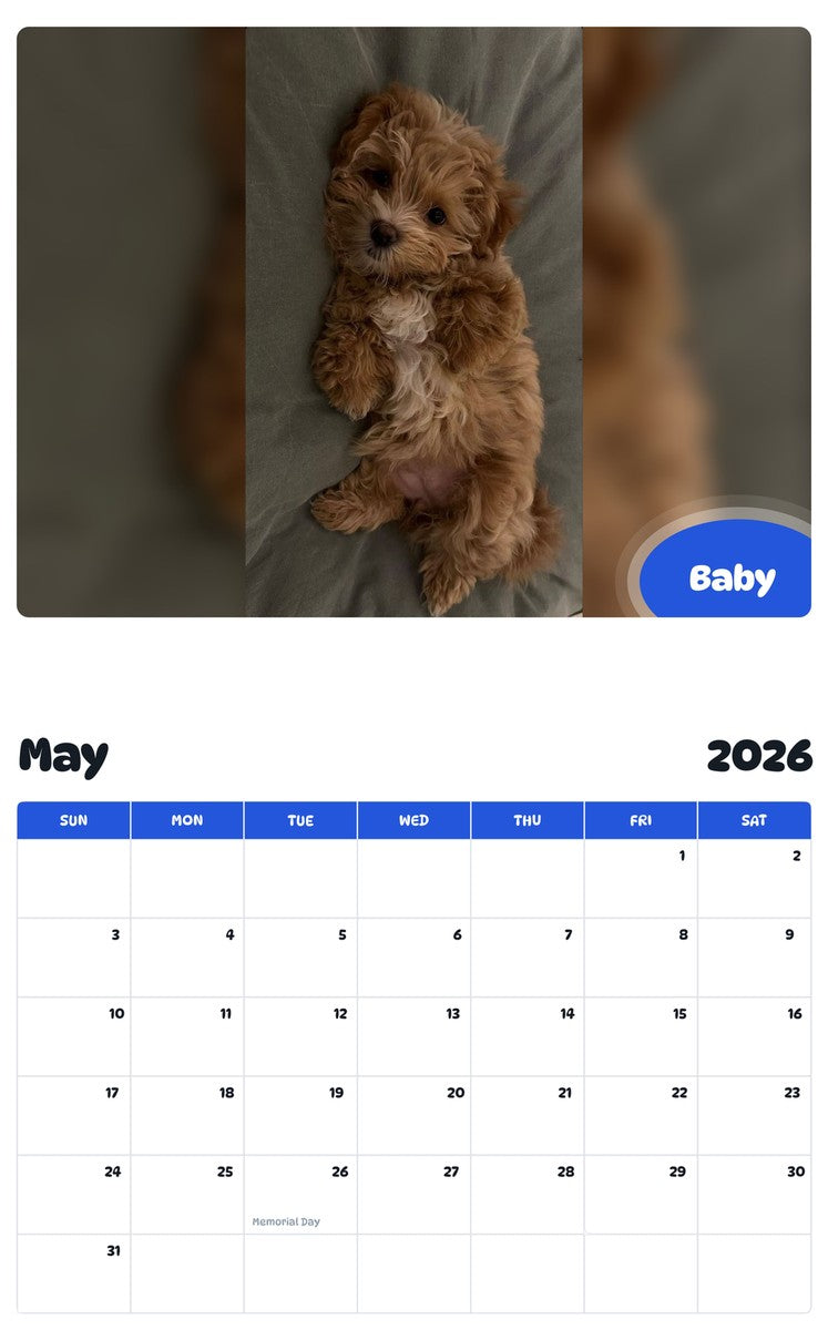 2026 - 2027 Baby - Pawidols Pet Calendar