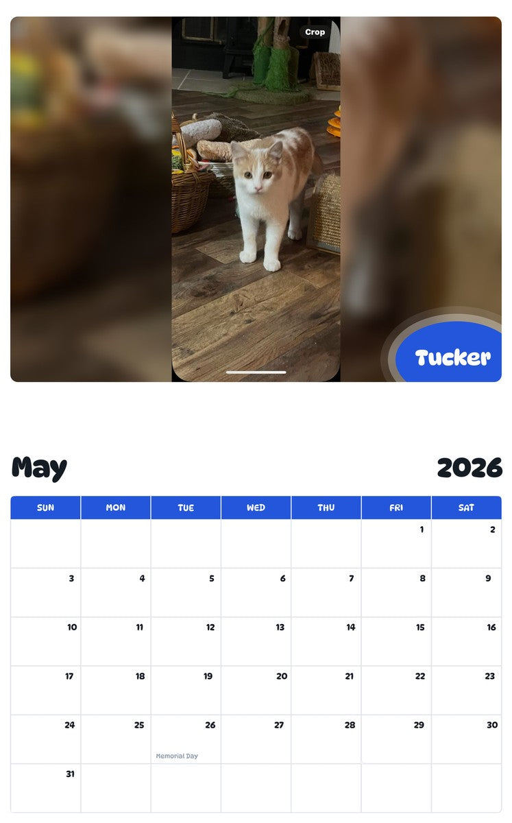 2026 - 2027 Tucker - Pawidols Pet Calendar