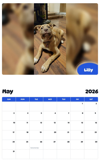 2026 - 2027 Lilly - Pawidols Pet Calendar