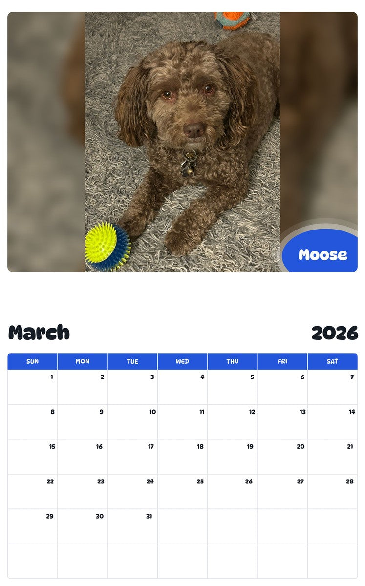 November 2025 - October 2026 Moose - Pawidols Pet Calendar
