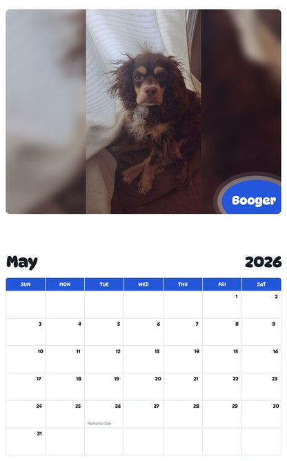 2026 - 2027 Booger - Pawidols Pet Calendar