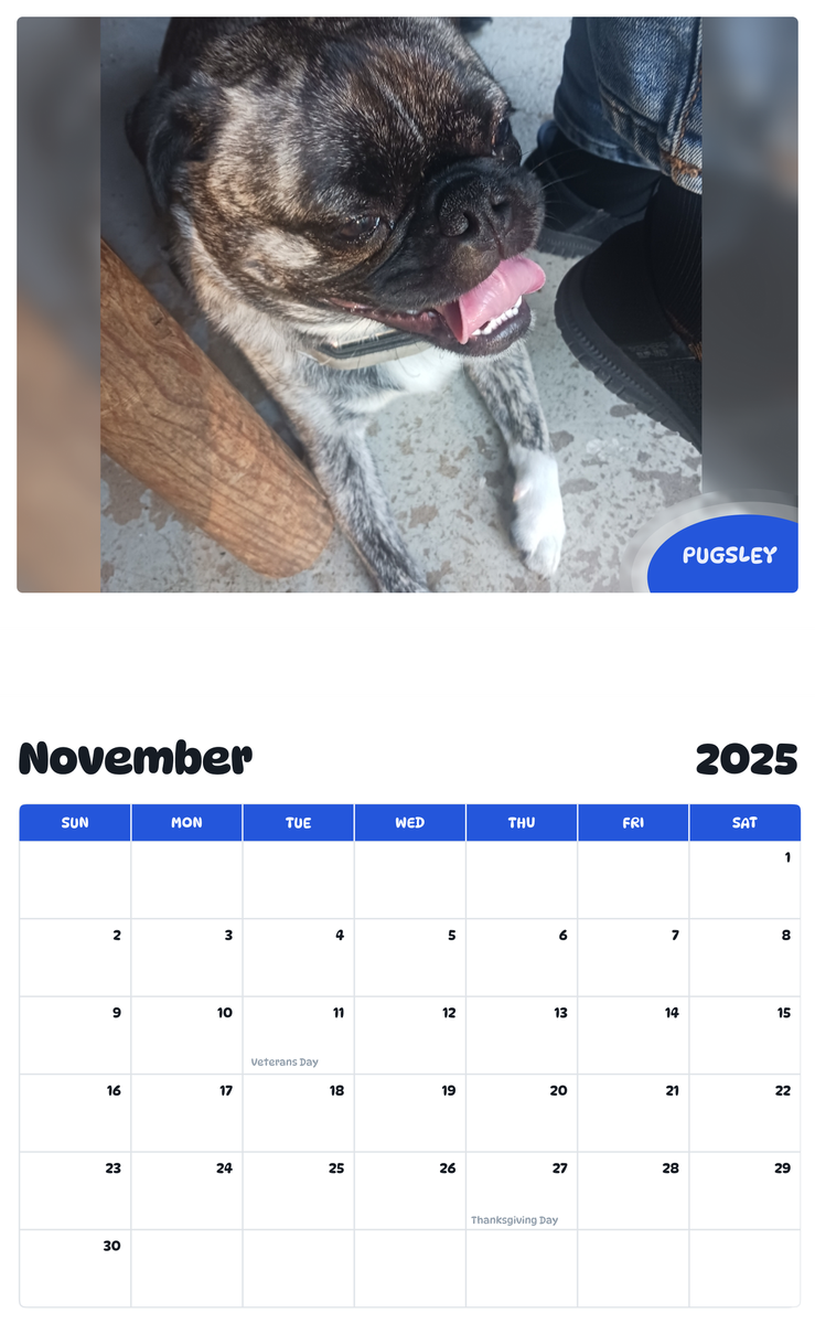 July 2025 - June 2026 Pugsley - Pawidols Pet Calendar