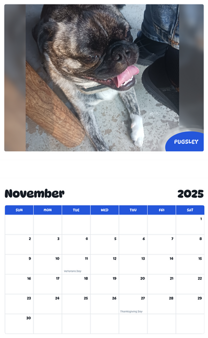 July 2025 - June 2026 Pugsley - Pawidols Pet Calendar