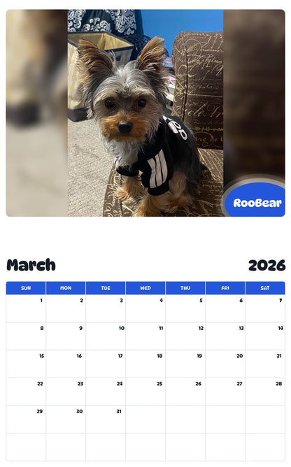 November 2025 - October 2026 RooBear - Pawidols Pet Calendar