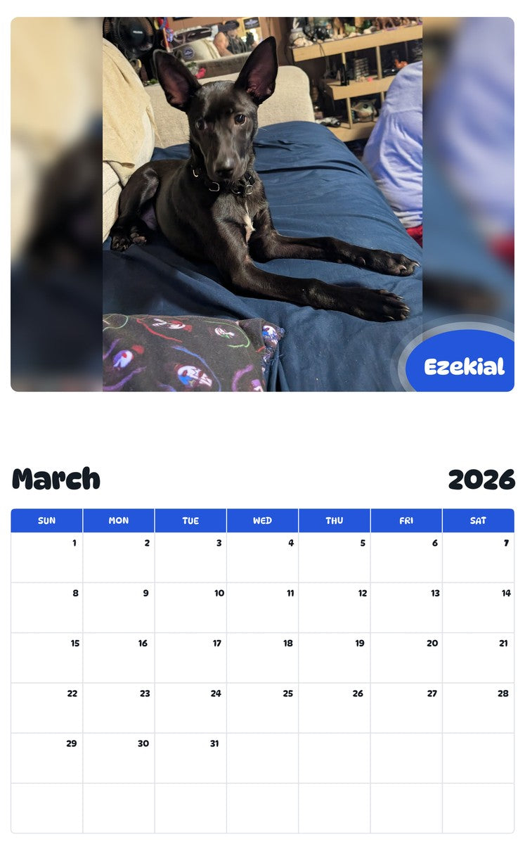 November 2025 - October 2026 Ezekial - Pawidols Pet Calendar