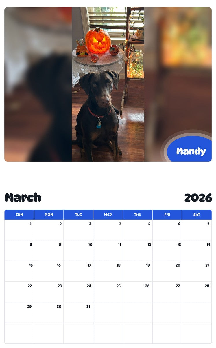 November 2025 - October 2026 Mandy - Pawidols Pet Calendar