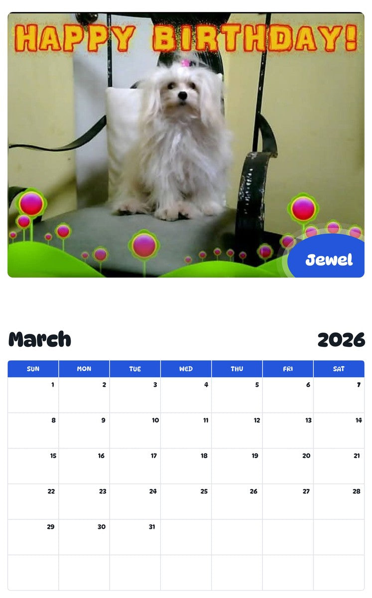 November 2025 - October 2026 Jewel - Pawidols Pet Calendar
