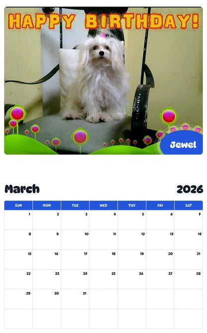 November 2025 - October 2026 Jewel - Pawidols Pet Calendar