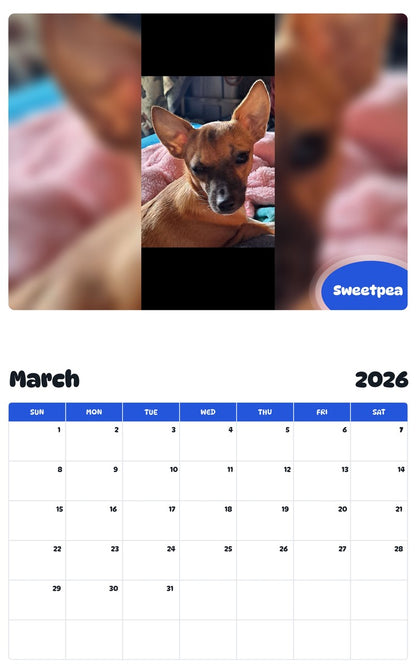 November 2025 - October 2026 Sweetpea - Pawidols Pet Calendar