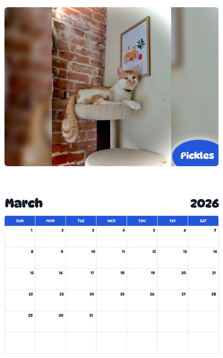 November 2025 - October 2026 Pickles - Pawidols Pet Calendar