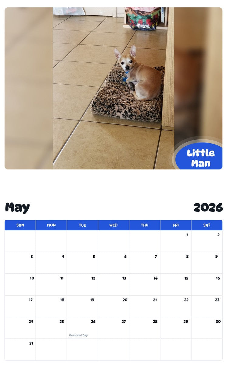 2026 - 2027 Little Man - Pawidols Pet Calendar
