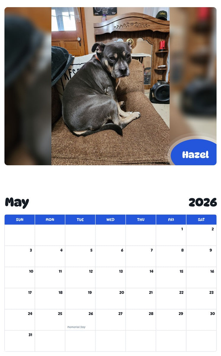 2026 - 2027 Hazel - Pawidols Pet Calendar