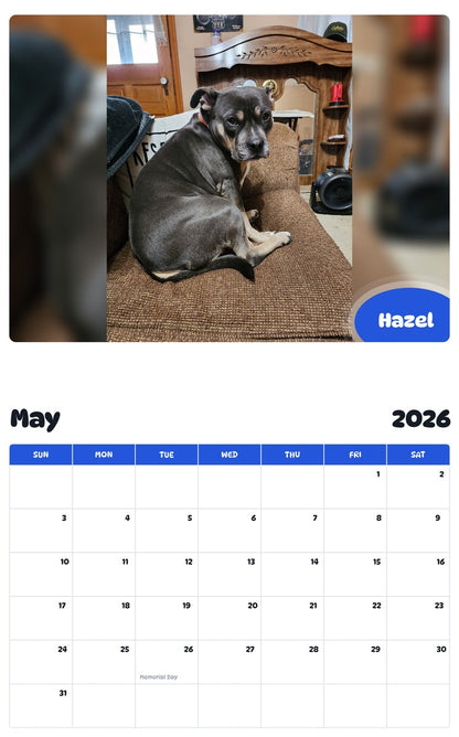 2026 - 2027 Hazel - Pawidols Pet Calendar