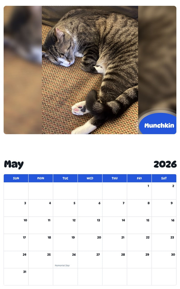 2026 - 2027 Munchkin - Pawidols Pet Calendar