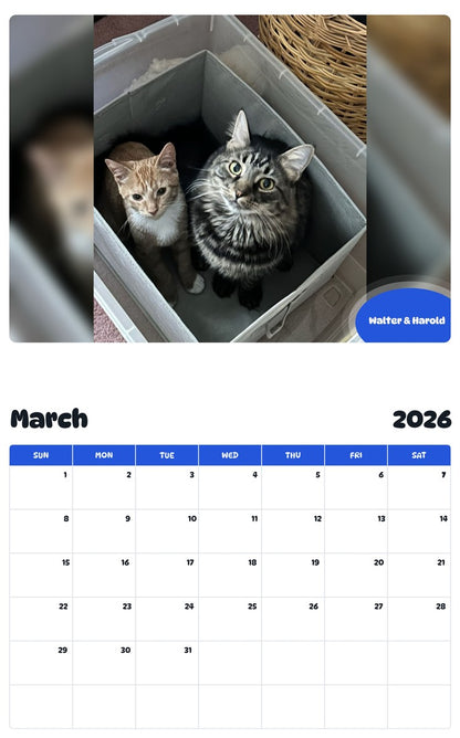November 2025 - October 2026 Walter & Harold - Pawidols Pet Calendar