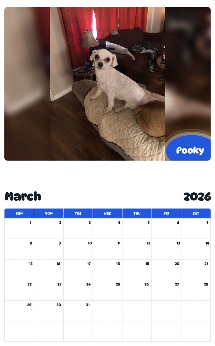 November 2025 - October 2026 Pooky - Pawidols Pet Calendar