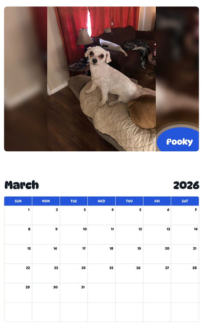 November 2025 - October 2026 Pooky - Pawidols Pet Calendar