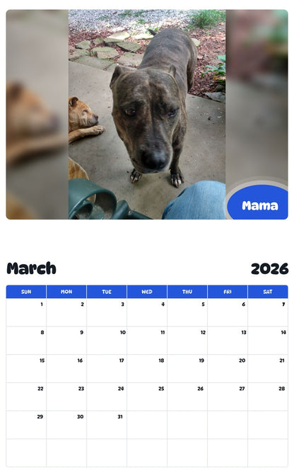 November 2025 - October 2026 Mama - Pawidols Pet Calendar