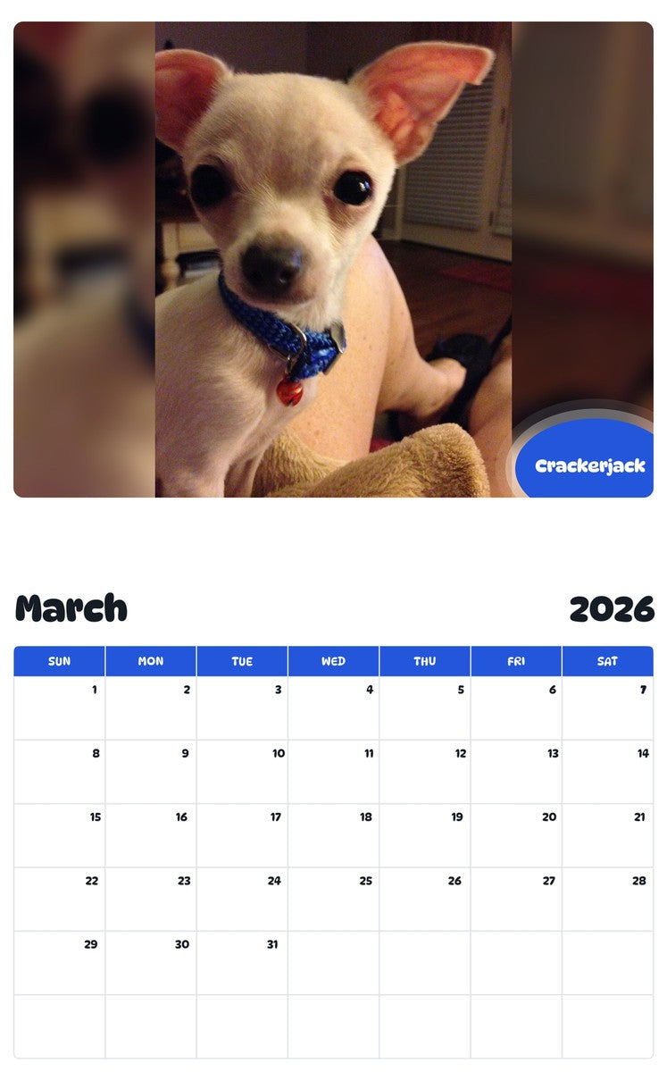 November 2025 - October 2026 Crackerjack - Pawidols Pet Calendar