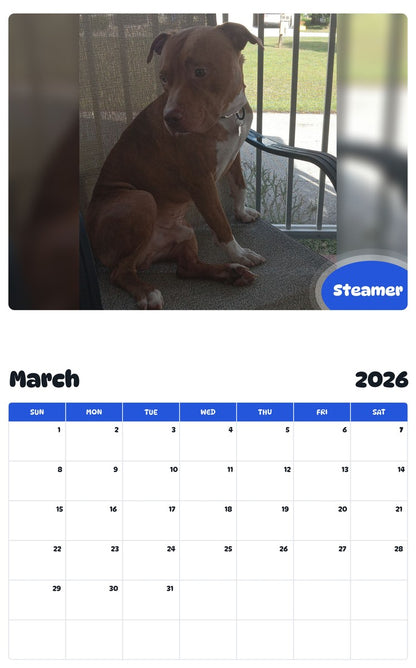 November 2025 - October 2026 Steamer - Pawidols Pet Calendar