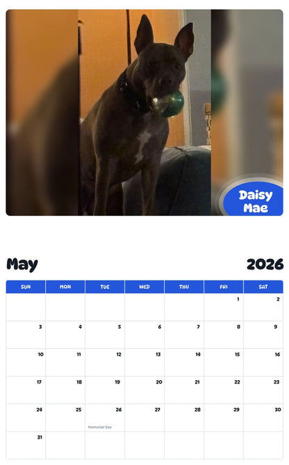 2026 - 2027 Daisy Mae - Pawidols Pet Calendar