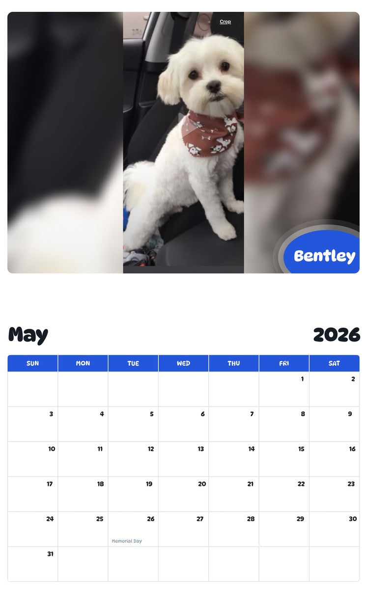 2026 - 2027 Bentley - Pawidols Pet Calendar